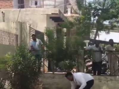 In India, una scimmia ruba una borsa contenente 2.000 sterline e fa piovere soldi dall&rsquo;alto di un albero