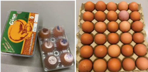 Allarme uova contaminate da salmonella nei supermercati, scatta richiamo del Ministero della Salute. 