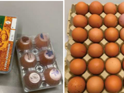 Allarme uova contaminate da salmonella nei supermercati, scatta richiamo del Ministero della Salute. 