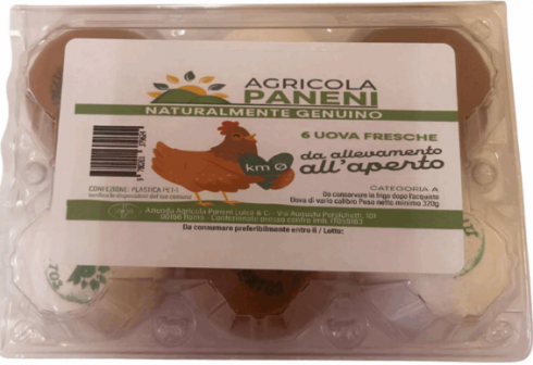 Richiamate uova fresche dagli scaffali dei supermercati per sospetta salmonella enteritidis