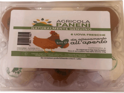 Richiamate uova fresche dagli scaffali dei supermercati per sospetta salmonella enteritidis