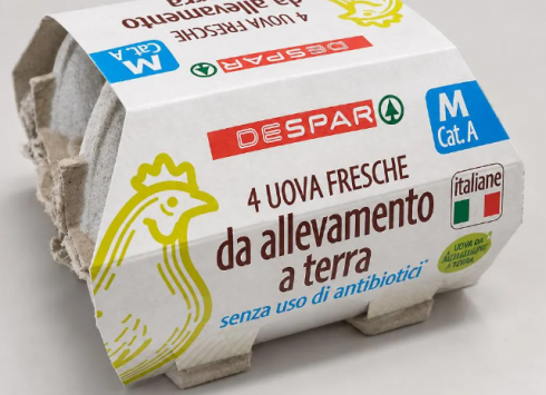 Salmonella spp sul guscio, richiamato lotto uova fresche anche a marchio Despar