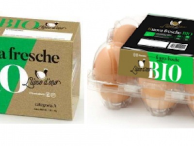 Salmonella sub enterica sier enteritidis nell’allevamento, richiamate uova fresche a marchio L’Uovo D’Oro