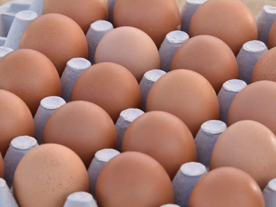 Ministero salute segnala Salmonella enteriditis nelle uova di gallina fresche da allevamento in batteria AVICOLA SAGITTARIO