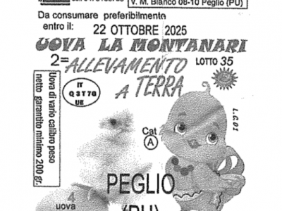 Salmonella enteritidis nell’allevamento, richiamate uova fresche ‘Le Coccoline’ a marchio La Montanari.