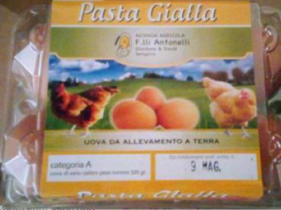 Salmonella, richiamati alcuni lotti di uova del marchio "Pasta gialla"