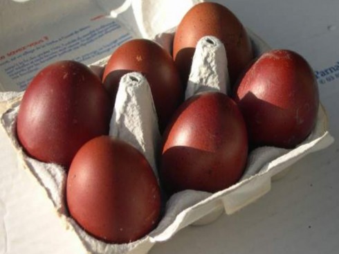Un nuovo allarme del Ministero per la Salmonella:uova contaminate ritirate dal mercato