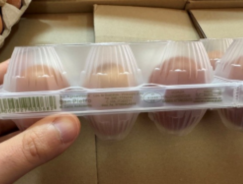 Potenziale rischio salmonella in un allevamento in Sardegna, richiamate uova fresche di CAT. A