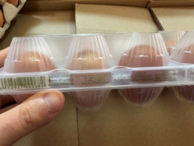 Potenziale rischio salmonella in un allevamento in Sardegna, richiamate uova fresche di CAT. A