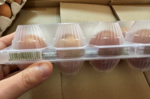 Potenziale rischio salmonella in un allevamento in Sardegna, richiamate uova fresche di CAT. A