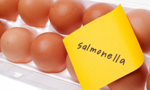 Maxi richiamo di uova dagli scaffali dei supermercati per salmonella