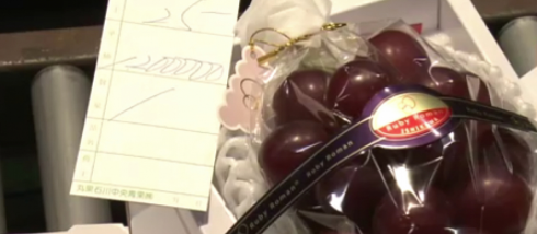 Giappone: grappoli d'uva venduti all'asta per 10 mila euro circa