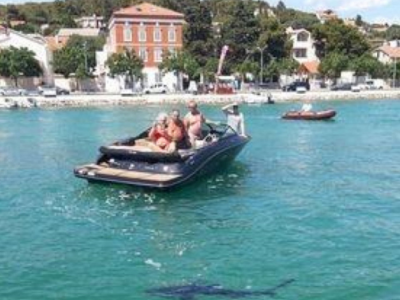 Croazia, paura in spiaggia avvistato in riva uno squalo.