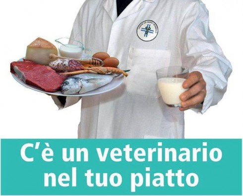 veterinario spot