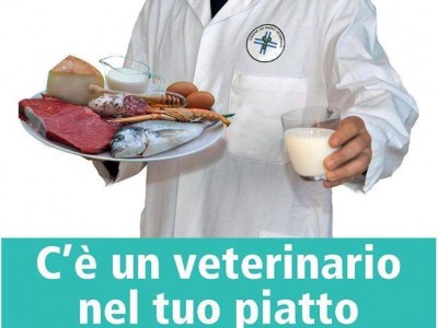 veterinario spot