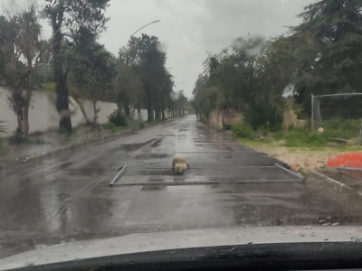 Cede il manto stradale e qualche ben pensante segnala il pericolo ponendo di traverso sulla carreggiata una transenna metallica con due blocchi di cemento
