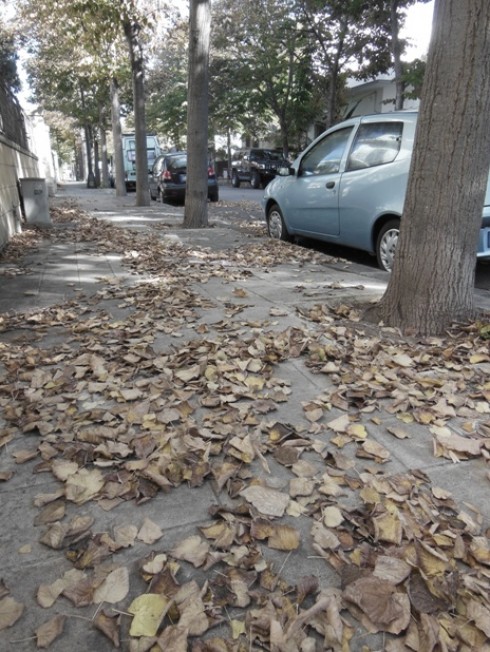 via g. desa via g. desa