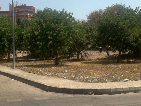 viale dello stadio lecce viale dello stadio lecce