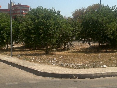 viale dello stadio lecce