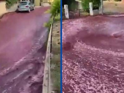 Fiume di vino inonda le strade della piccola città di São in Portogallo