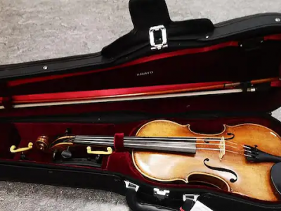 Monaco, un prezioso violino italiano ritrovato sul treno, ma del proprietario non c'è traccia