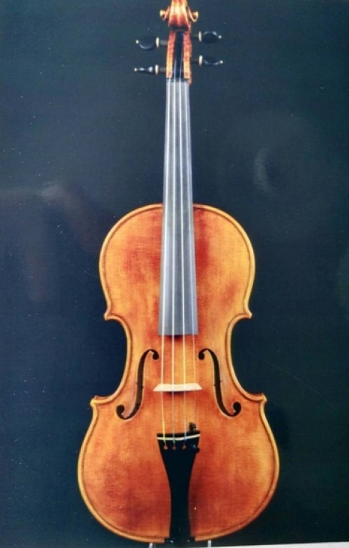 violino violino