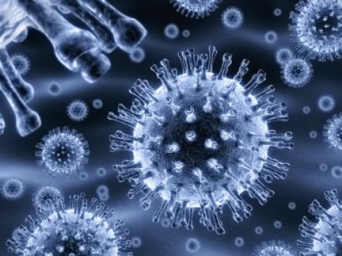 virus virus