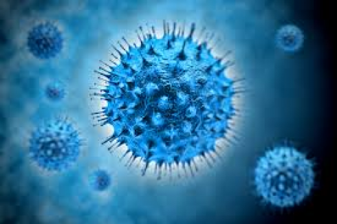 Un virus causa la sclerosi multipla?