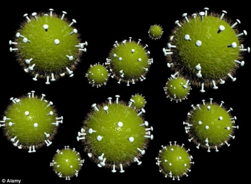 virus virus