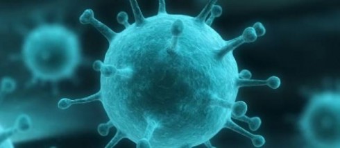 virus nuovo virus nuovo