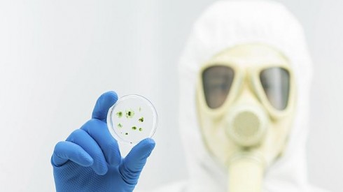 virus sars virus sars