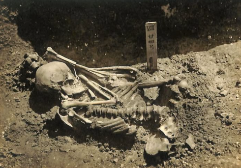 Tsukumo-24, la vittima dell'attacco di uno squalo mai ritrovata, il primo caso documentato al mondo