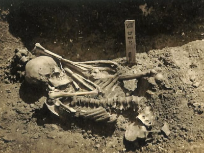 Tsukumo-24, la vittima dell'attacco di uno squalo mai ritrovata, il primo caso documentato al mondo