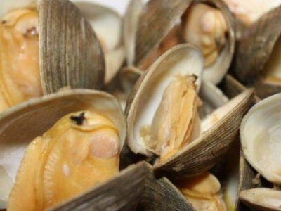 Vongole contaminate con un batterio pericoloso, il Ministero della Salute lancia l'allarme