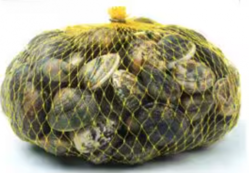 Vongole veraci richiamate per possibile presenza di Escherichia Coli