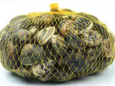 Vongole veraci richiamate per possibile presenza di Escherichia Coli