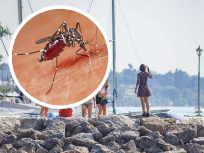 Epidemia di Dengue sul Lago di Garda